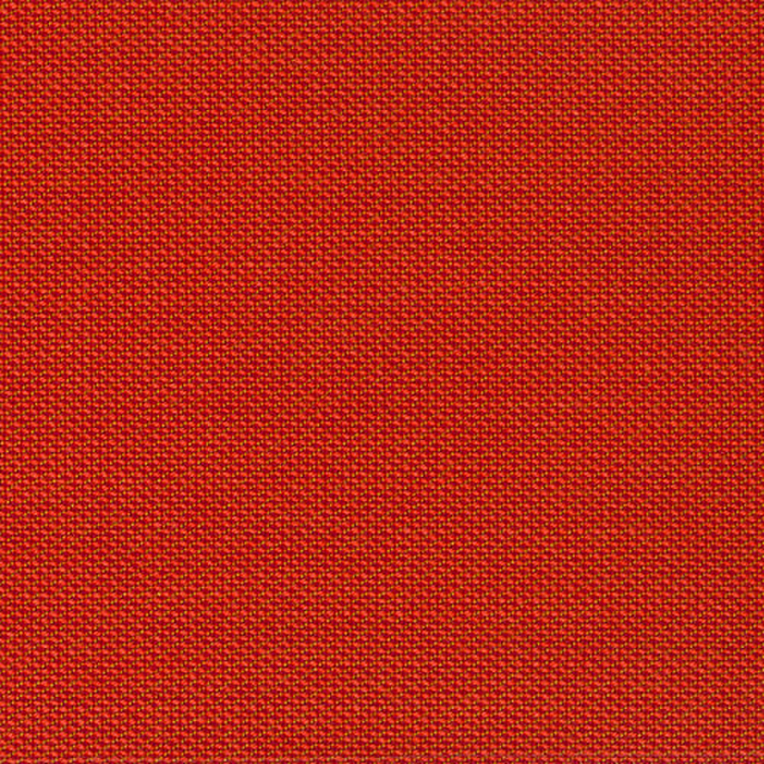 d533