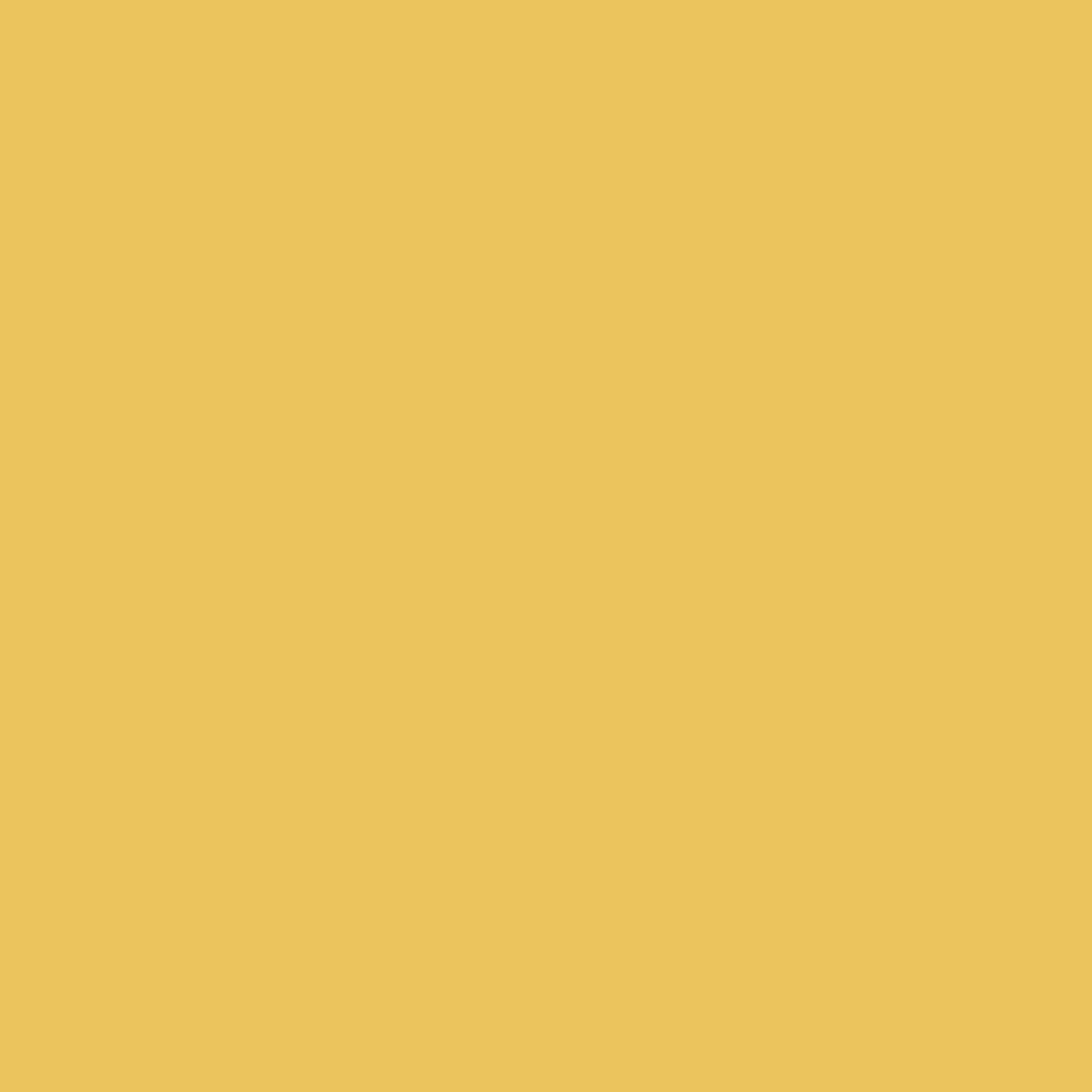Detail of honey yellow colour finish Cappellini