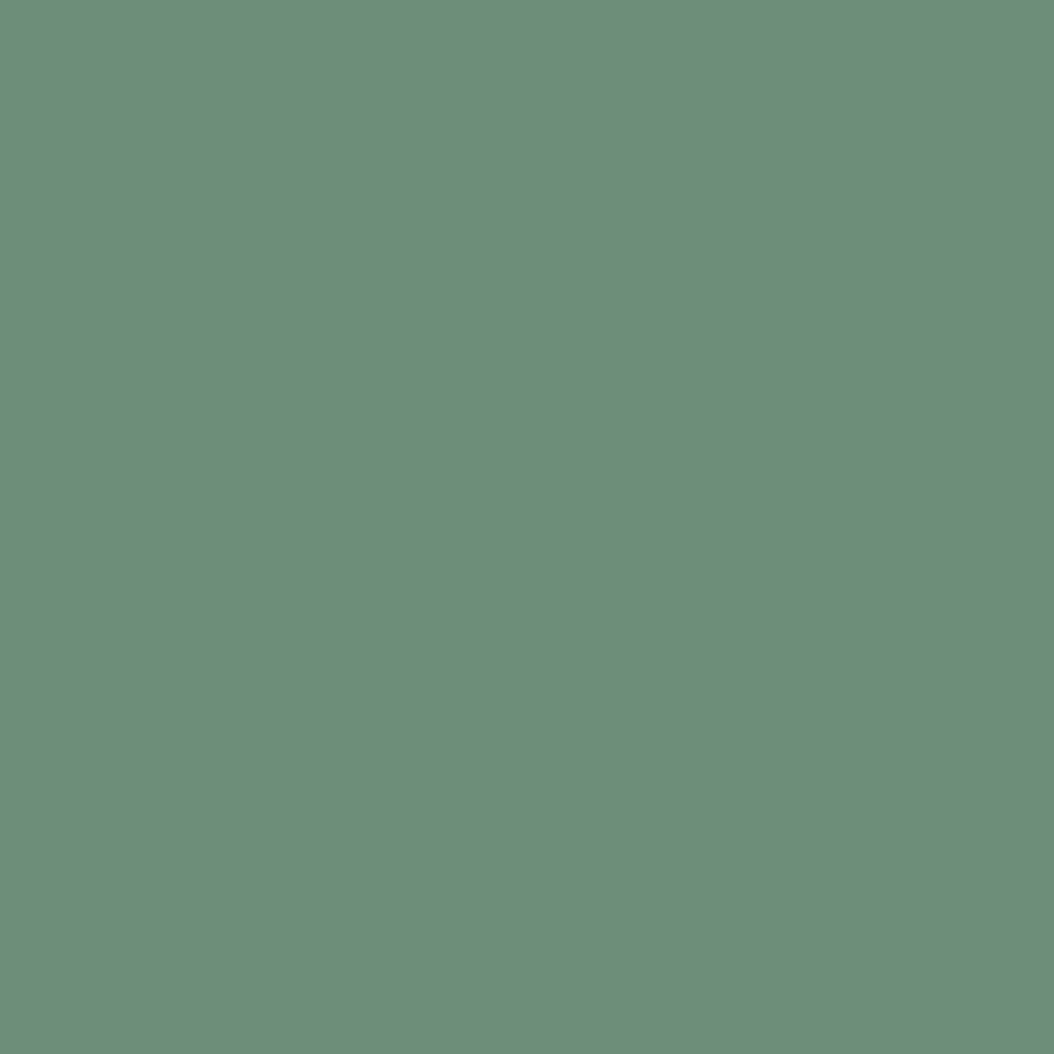 Detail of powder green colour finish Cappellini