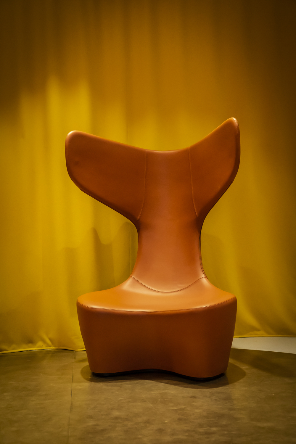 Cappellini 11
